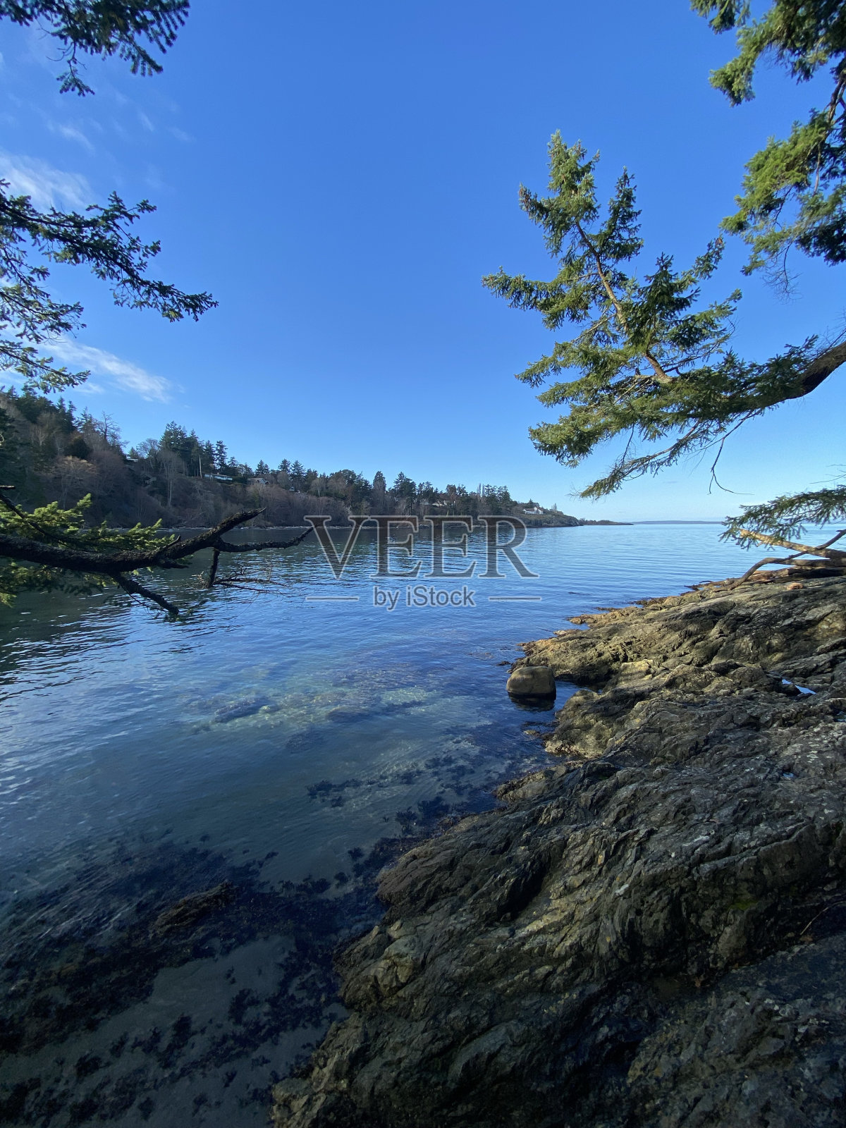 隐匿处照片摄影图片