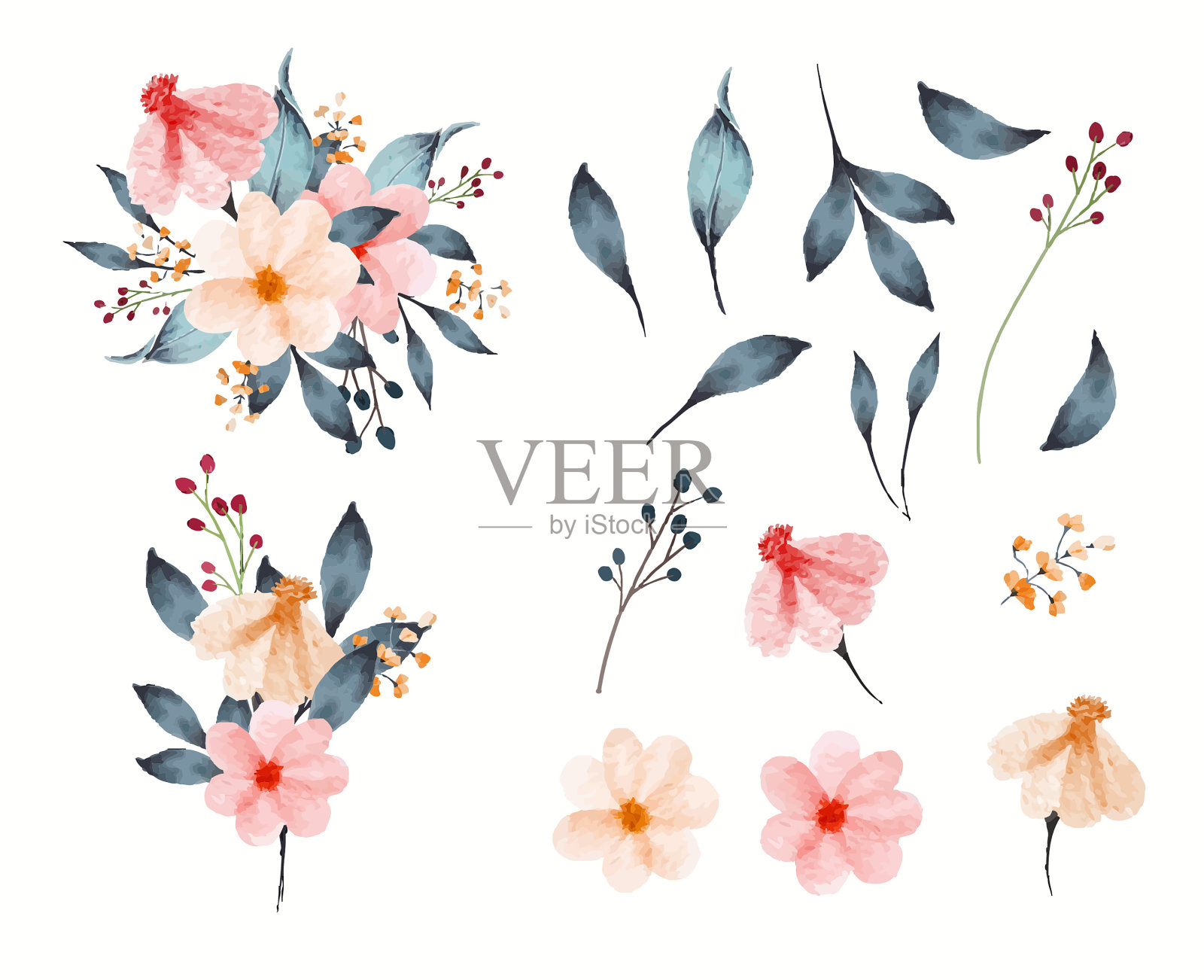 一套水彩花和树叶收集与花束插画图片素材
