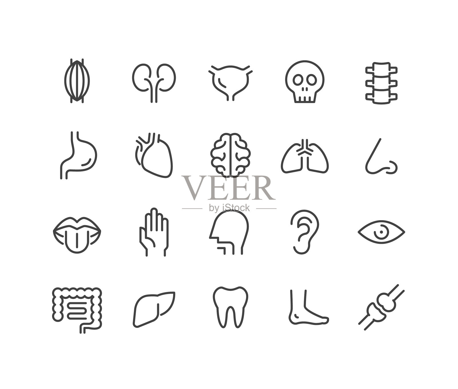 人体器官图标-经典系列插画图片素材
