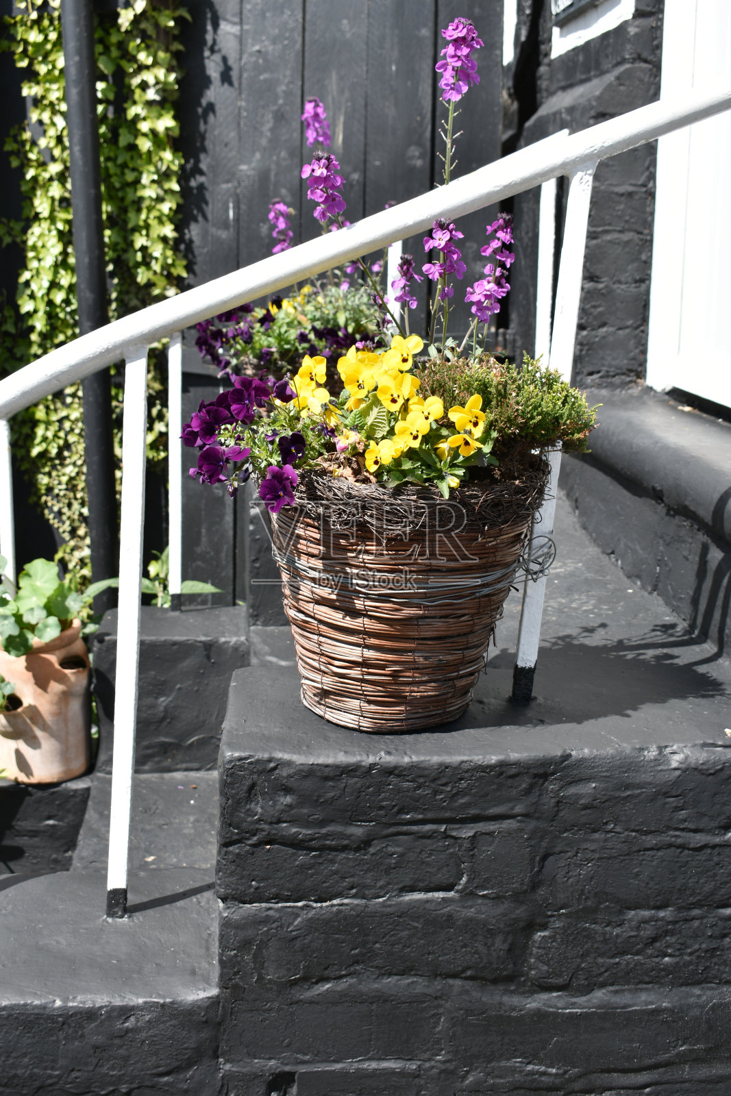 庭院篮子的特写，里面装满了五彩缤纷的春季花卉照片摄影图片