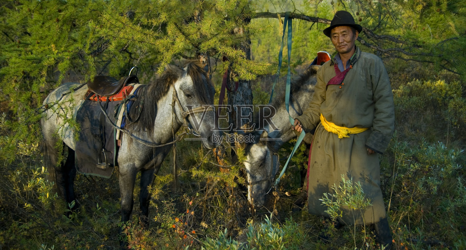 田野里的游牧蒙古人照片摄影图片