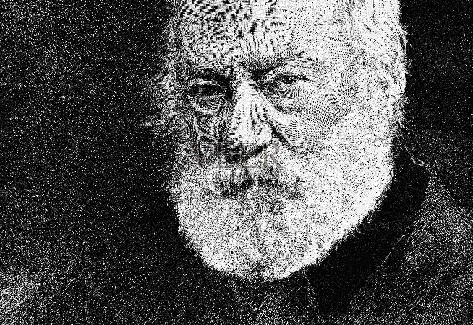 维克多·雨果（XL）插画图片素材