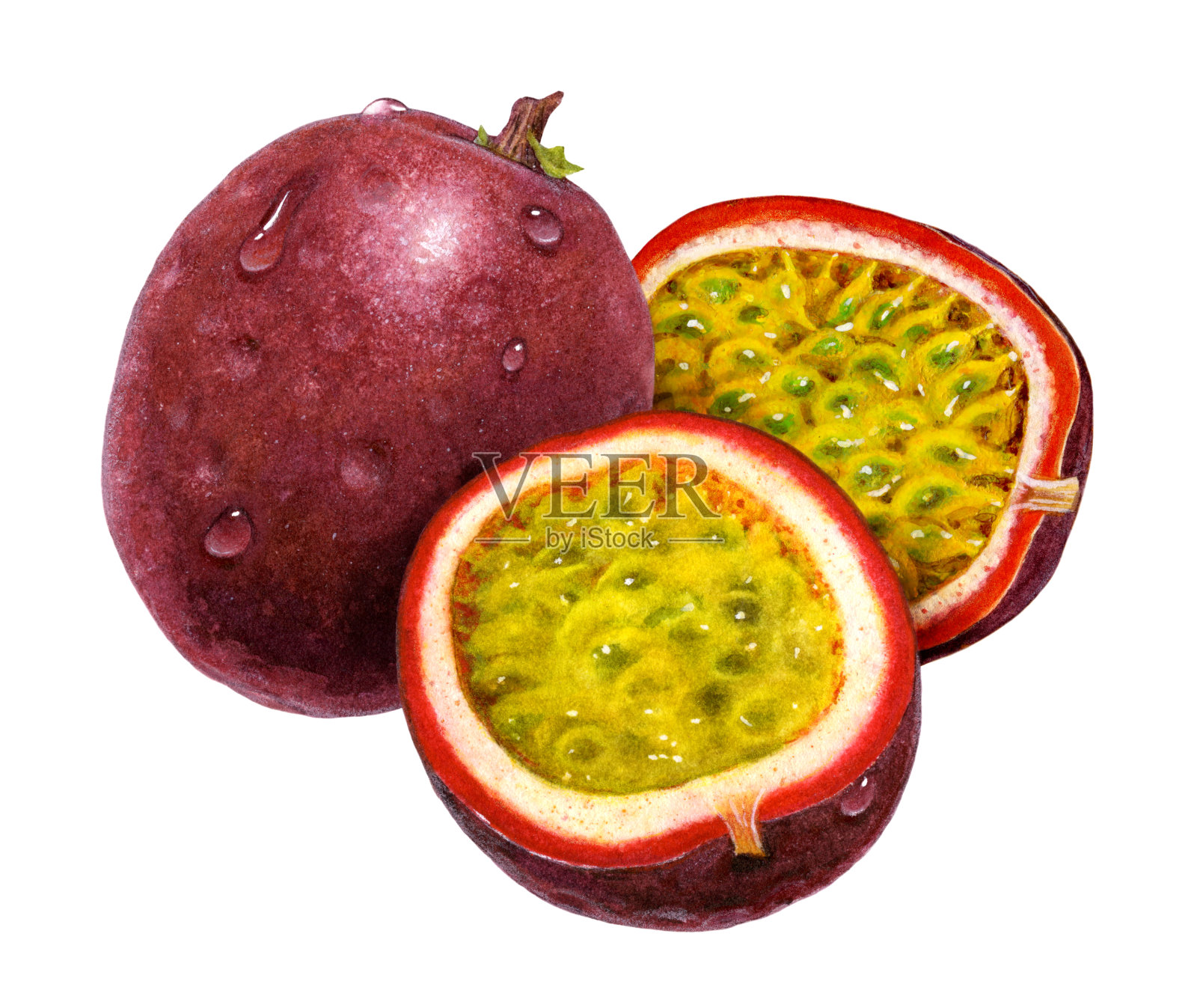 百香果一插画图片素材