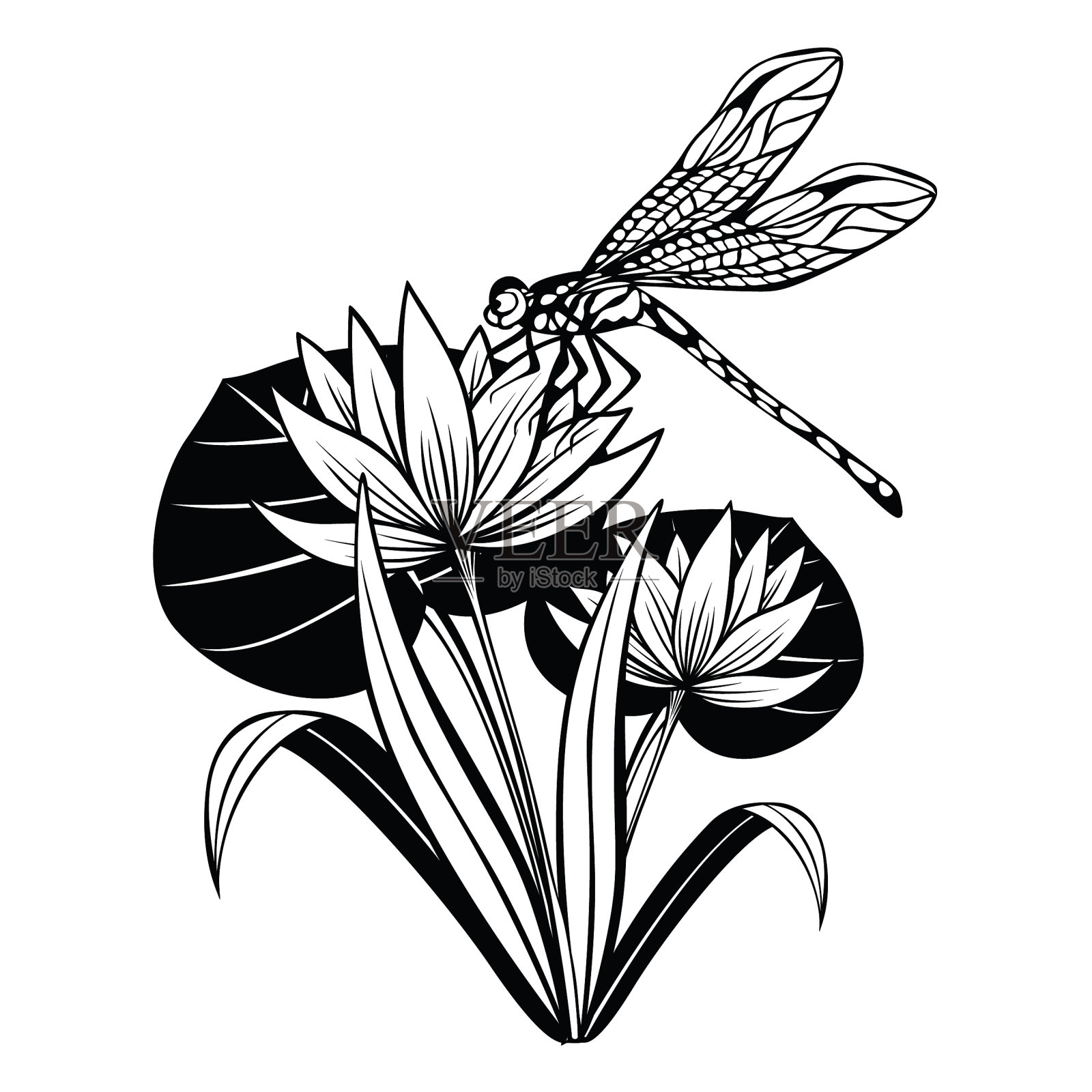 莲花插画图片素材