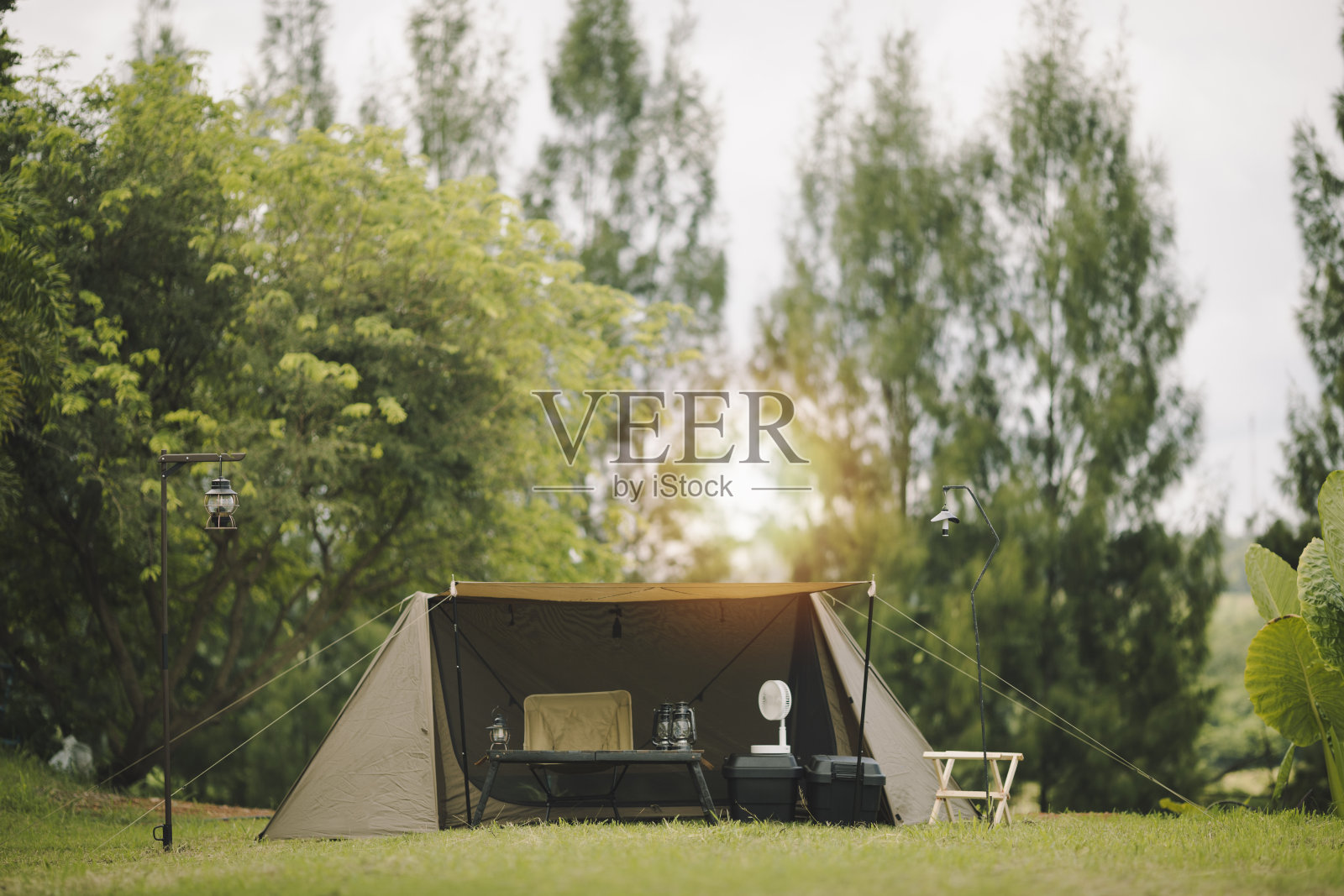 森林营地中的游客帐篷照片摄影图片