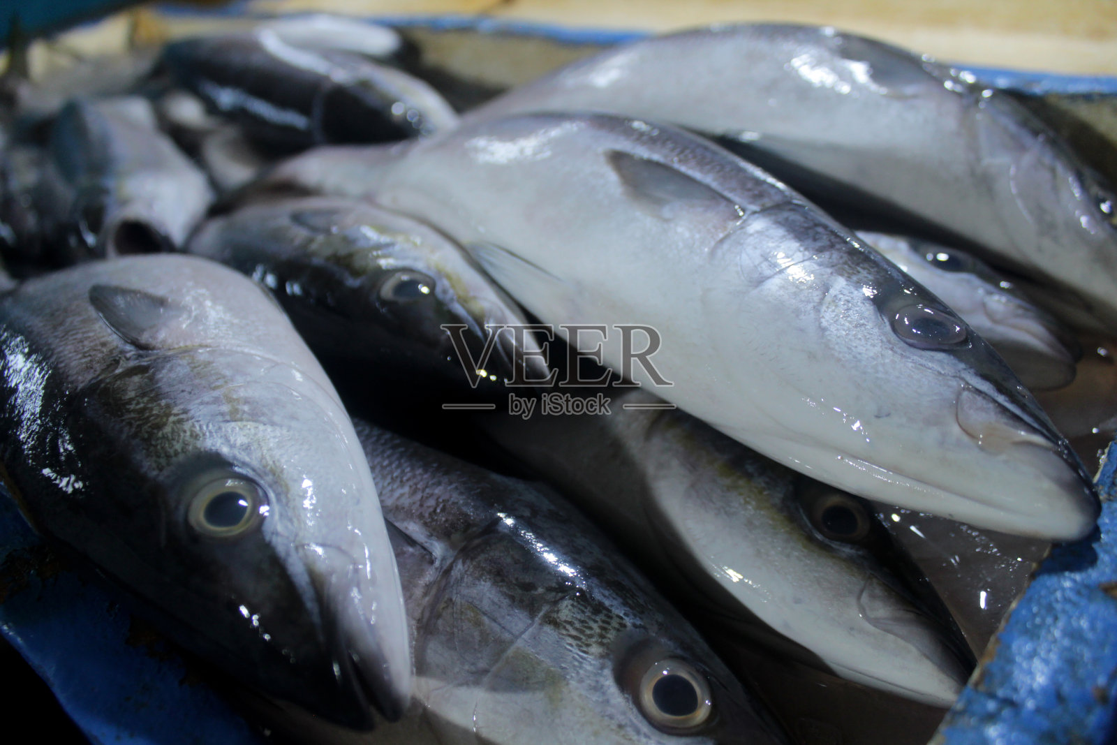 巴厘岛金巴兰Kedonganan传统市场的新鲜鱼照片摄影图片