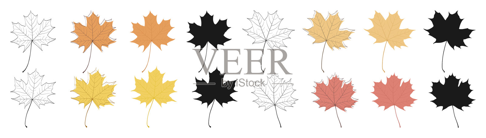 一组秋天的枫叶图标素材