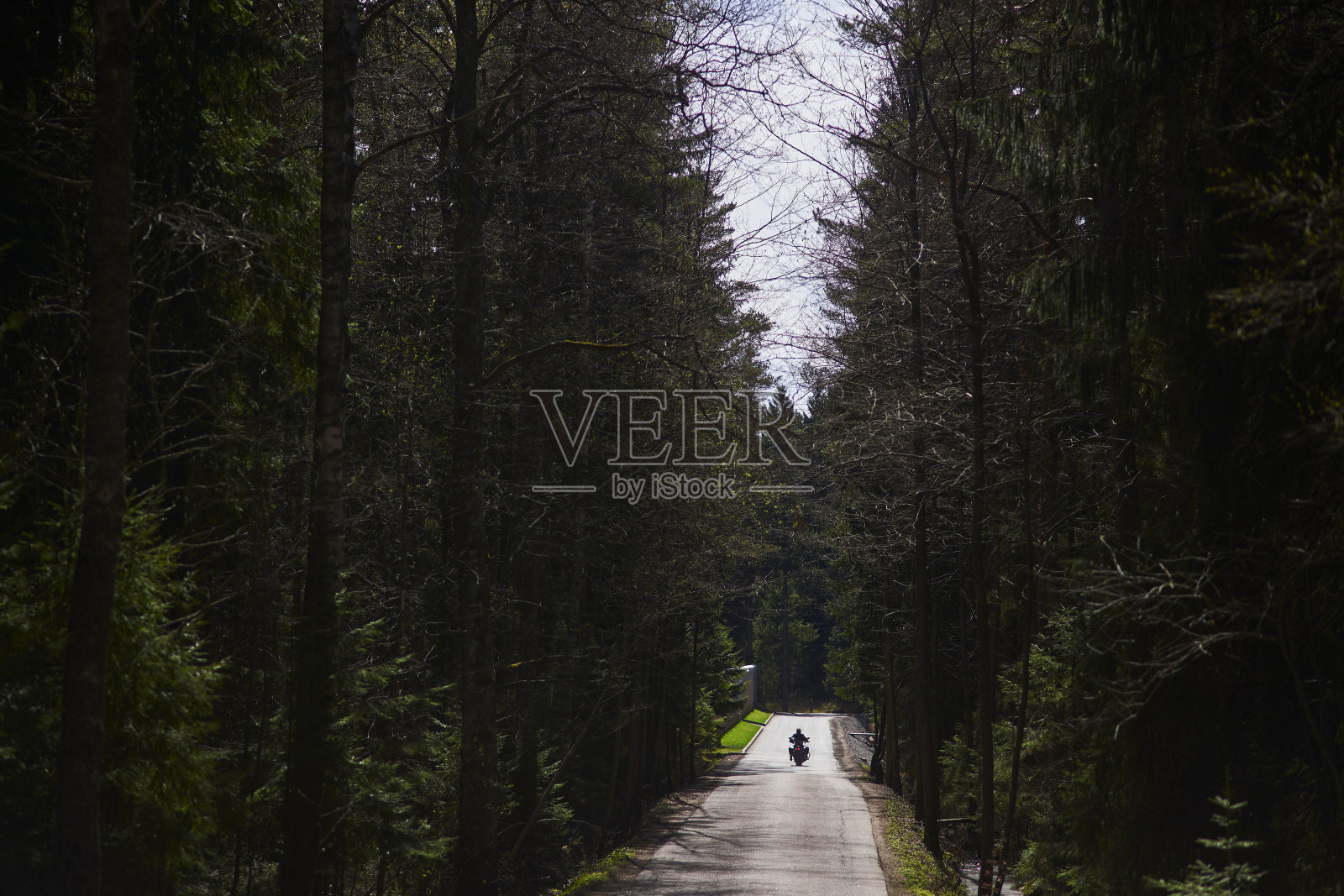 一个广阔的镜头，茂密的森林和一条通往远处的道路，骑摩托车的人沿着它骑行照片摄影图片