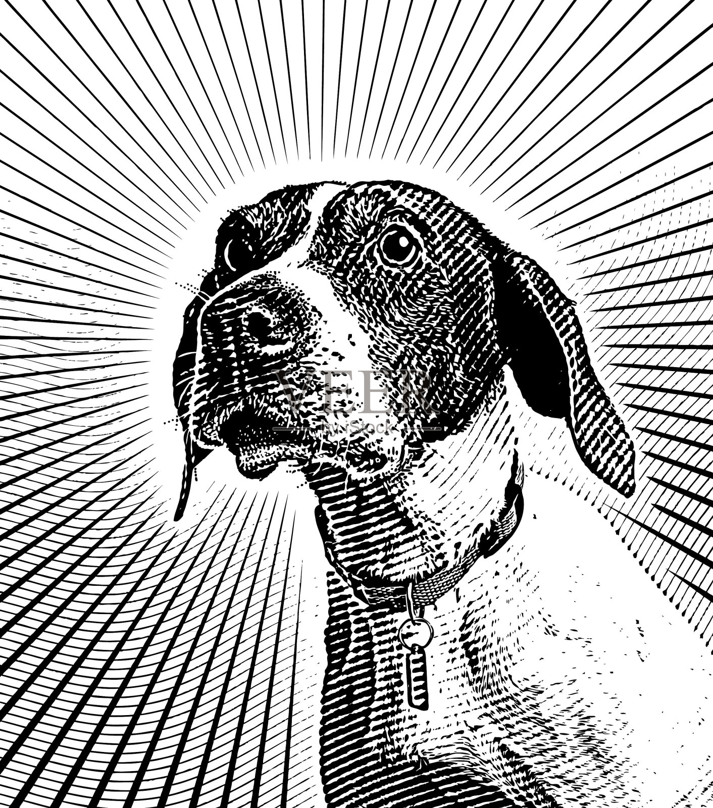 希望被收养的猎狗插画图片素材