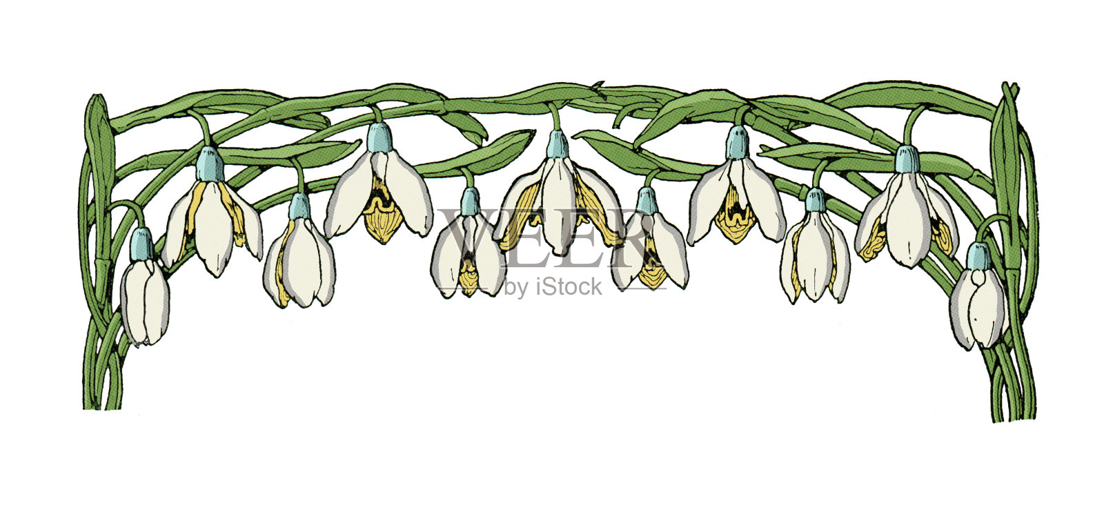 新艺术设计元素为装饰雪莲花画1898插画图片素材