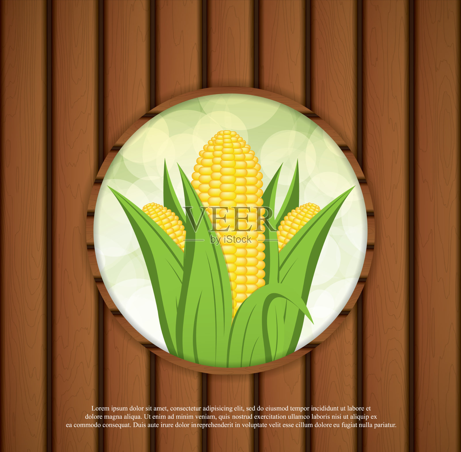 玉米插画图片素材