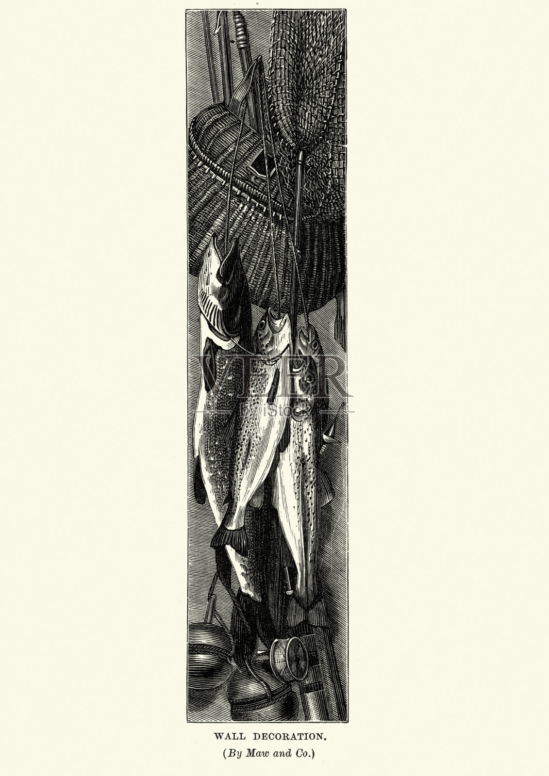 渔获与渔具，19世纪插画图片素材
