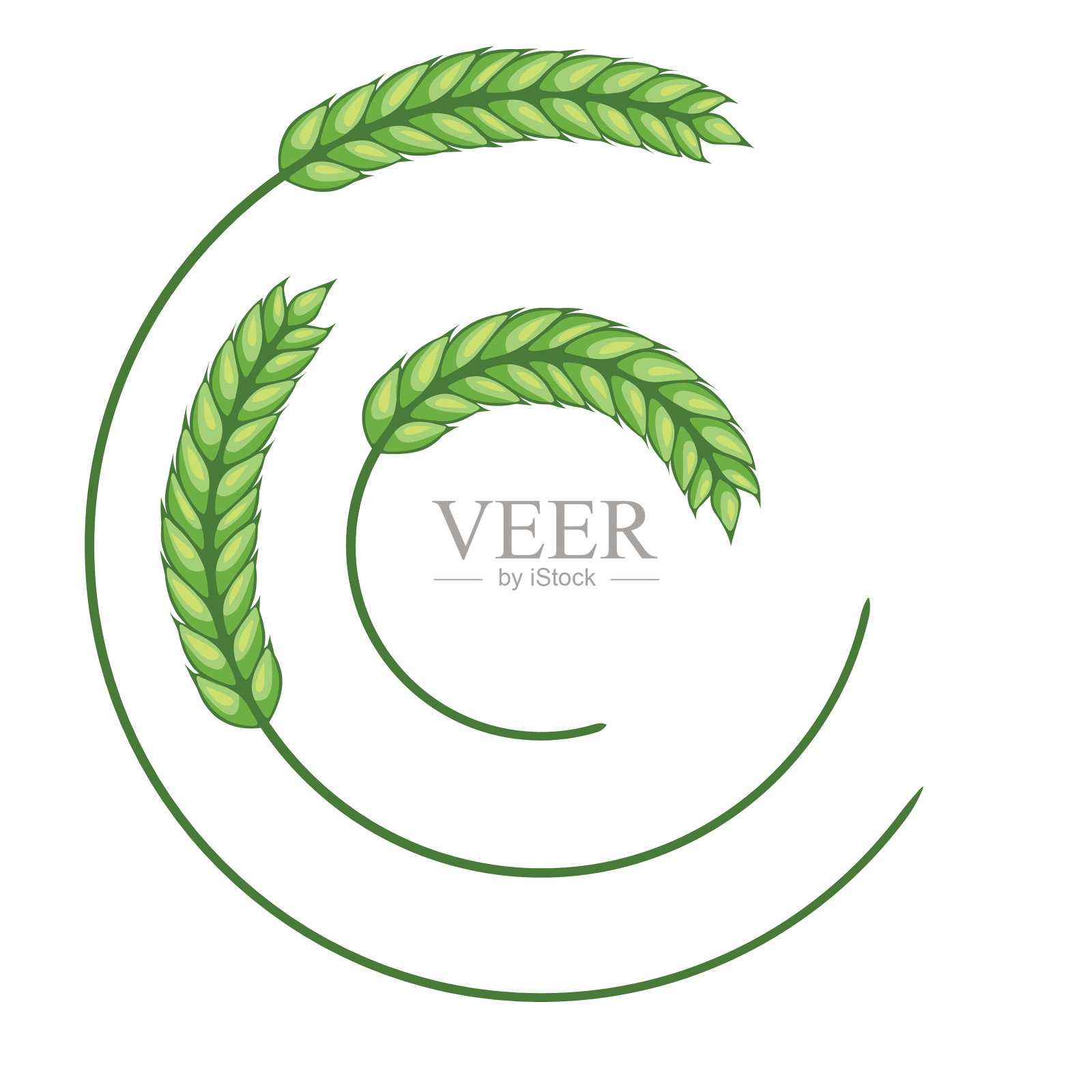 小麦设计元素-绿色插画图片素材