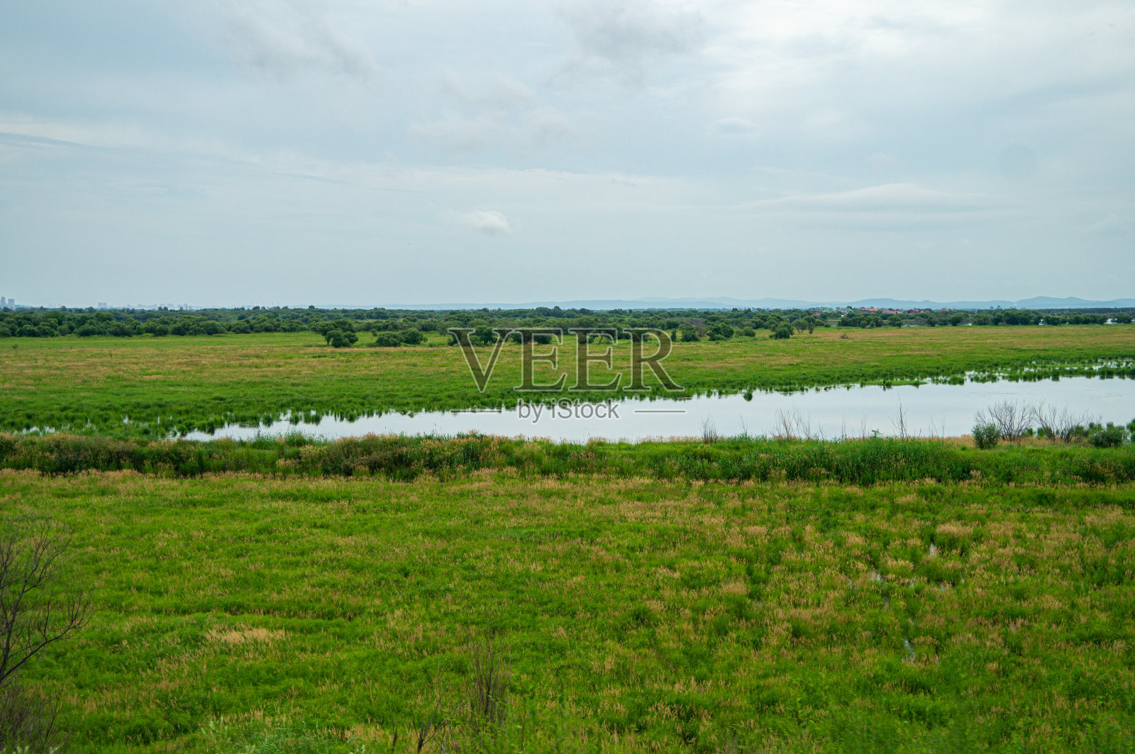 有草地的田野和有水源的绿色森林照片摄影图片