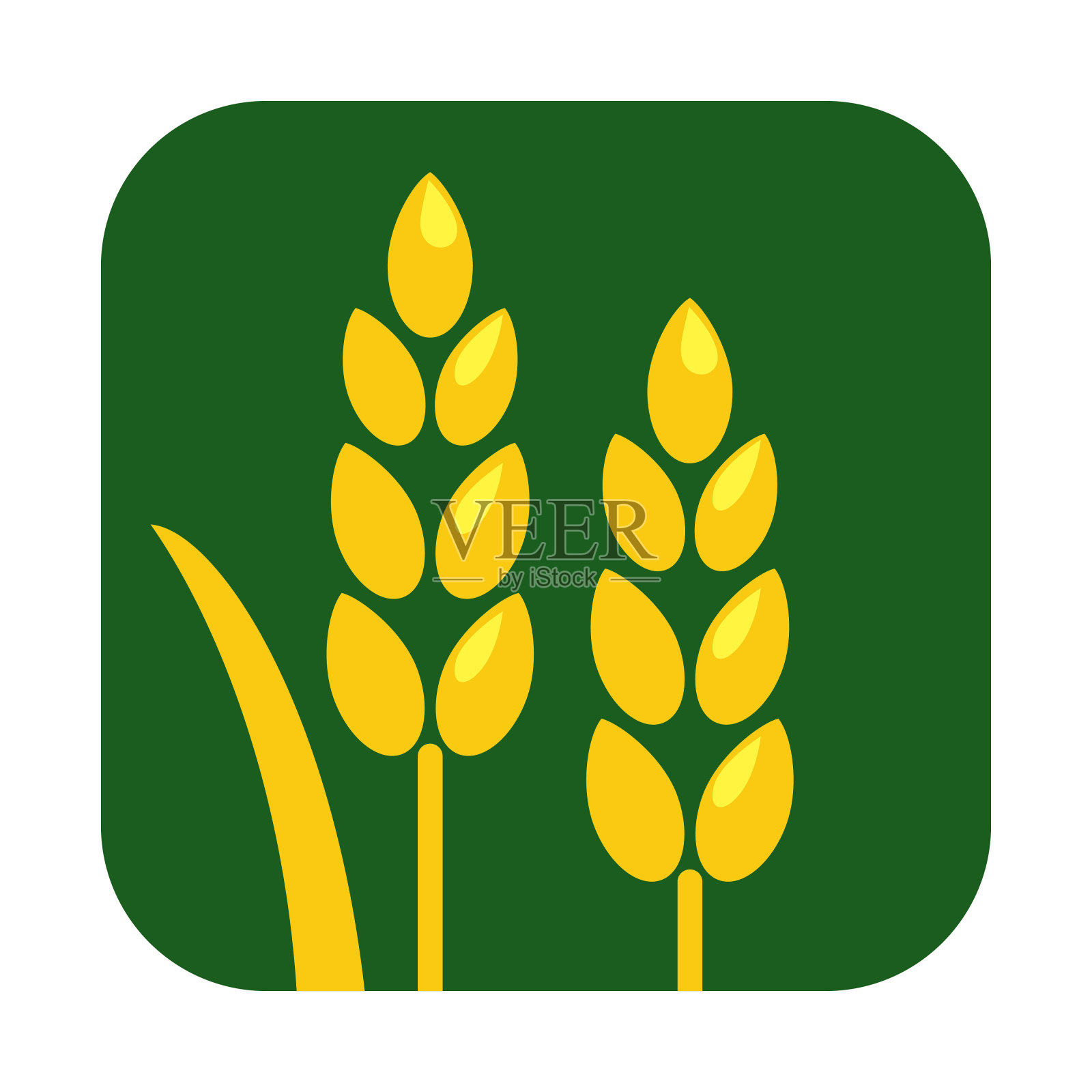 简单的小麦或谷物图标插画图片素材