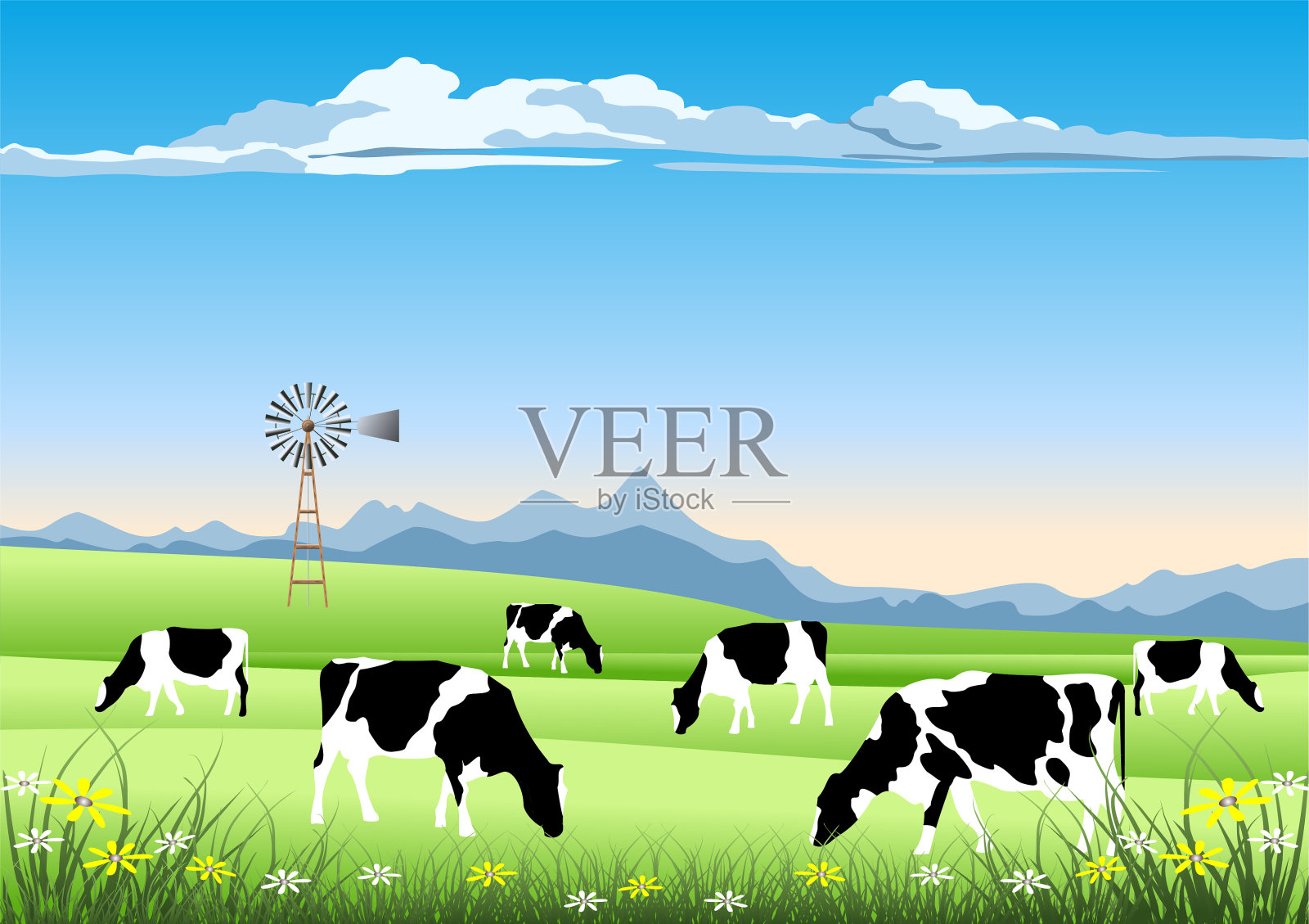 田园农场场景。田野里的荷斯坦牛和老风车。插画图片素材