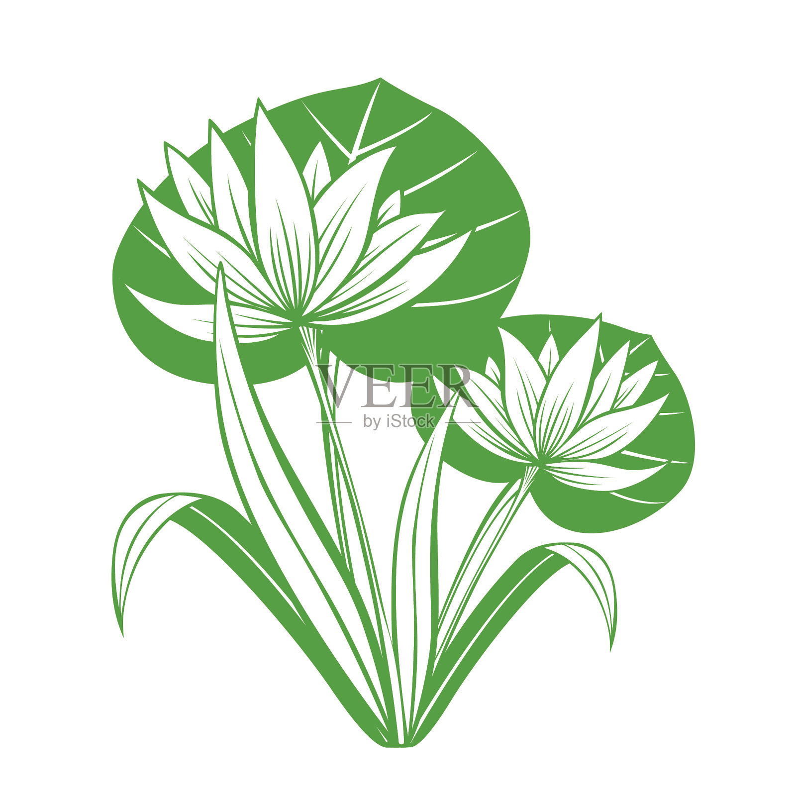 莲花设计元素图片