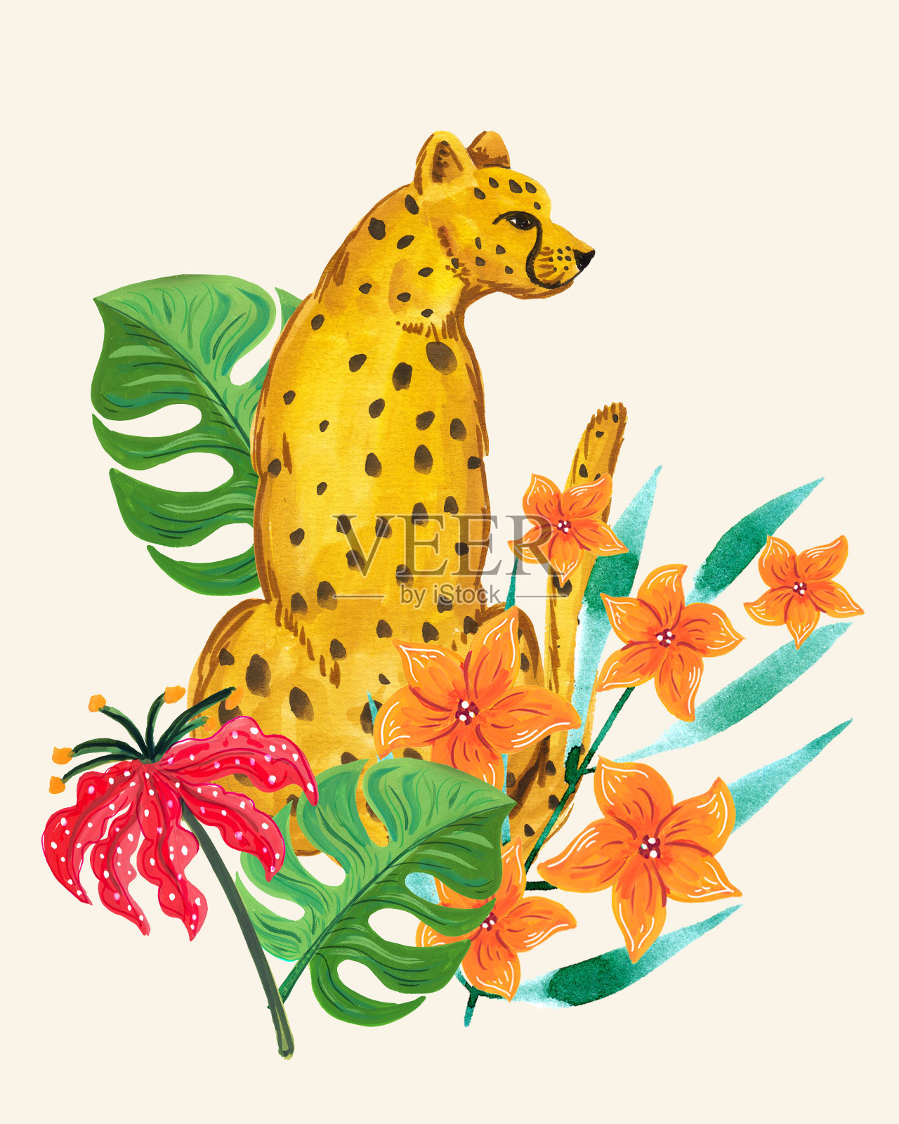 手绘水彩猎豹插画图片素材