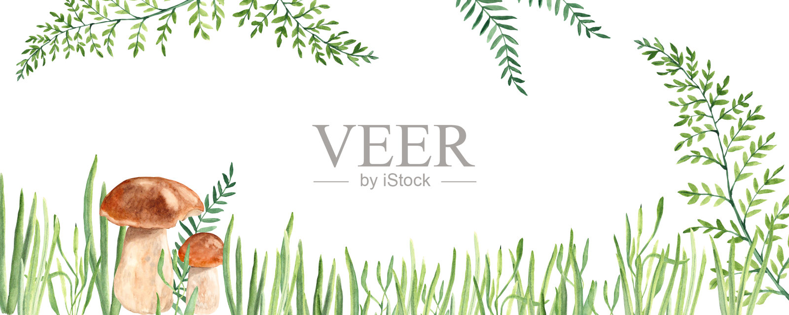 蘑菇、绿树枝和草。水彩水平旗帜。插画图片素材
