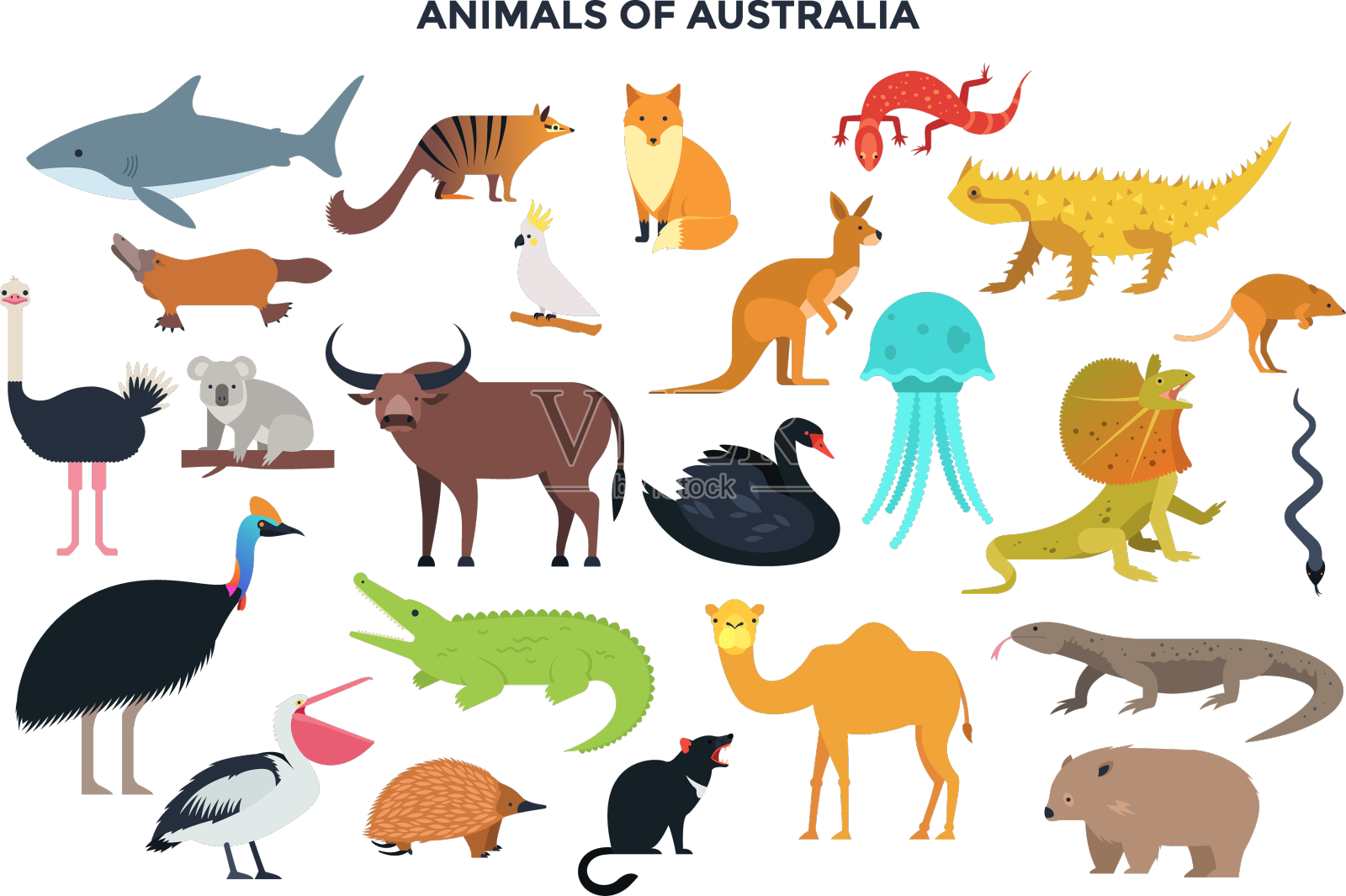 现代信息模板设计元素图片