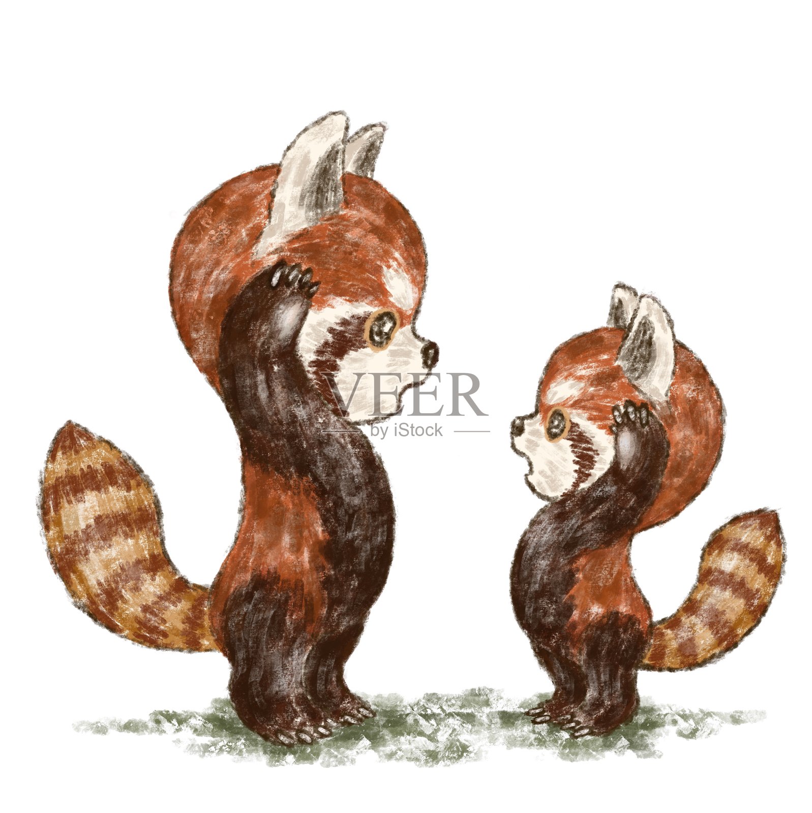 小熊猫面对面插画图片素材