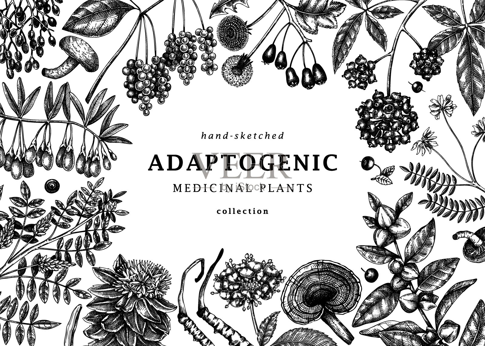 适应性植物背景设计插画图片素材