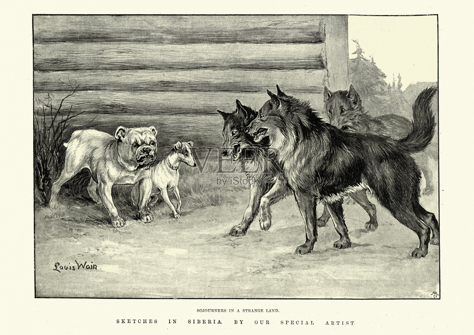 陌生人在陌生的土地上，狗狗之间的对抗，西伯利亚，19世纪插画图片素材