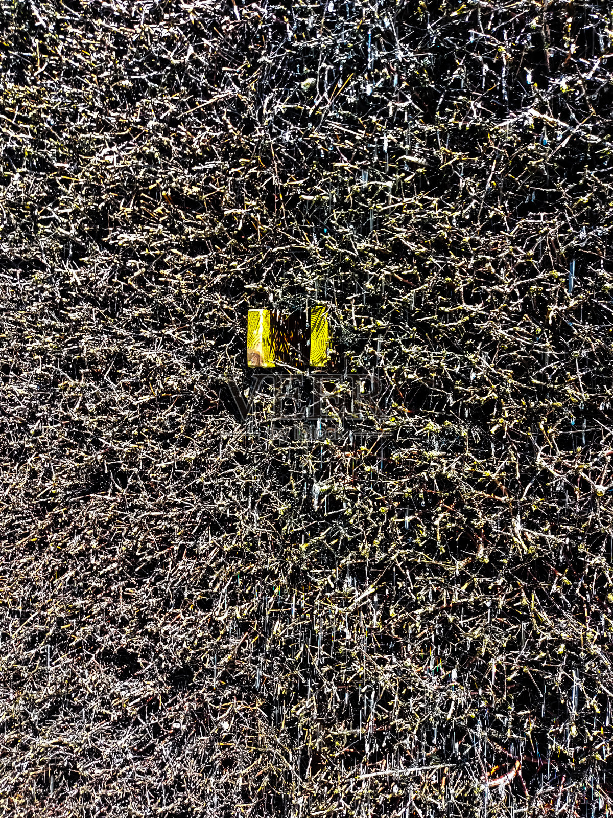 毕业塔的景色照片摄影图片