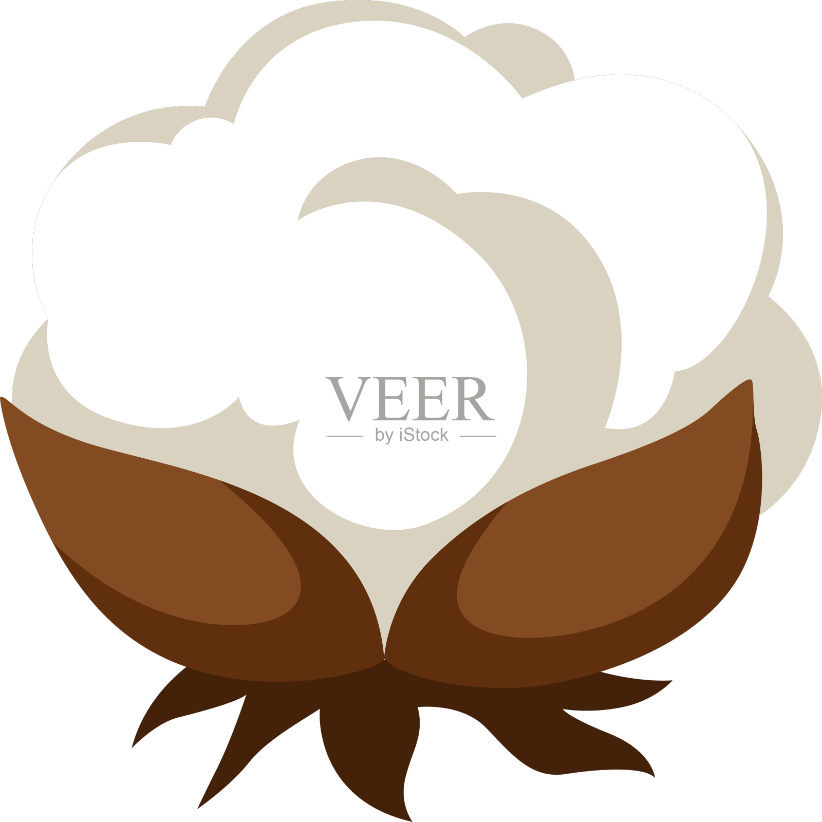 棉花花序的程式化设计元素图片