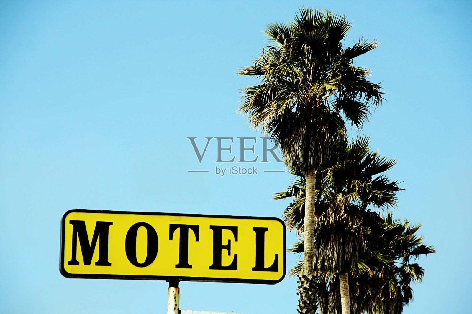 黄色汽车旅馆的标志和棕榈树照片摄影图片