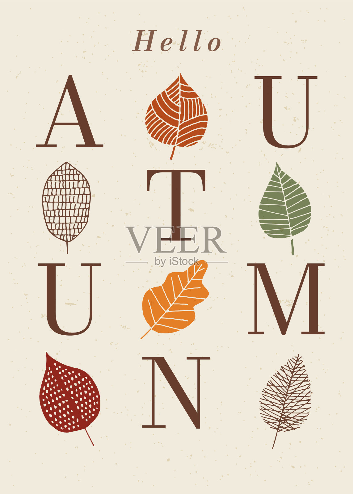 秋天的季节的问候。感恩节的设计元素。插画图片素材