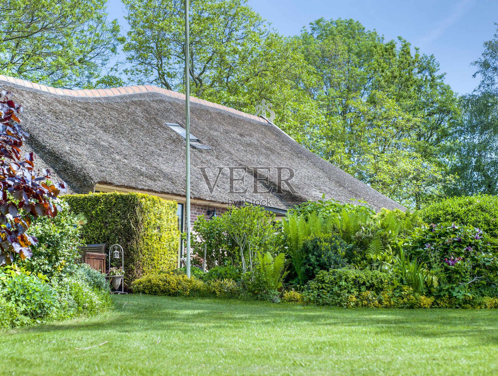 荷兰Giethoorn典型的茅草屋顶房子照片摄影图片