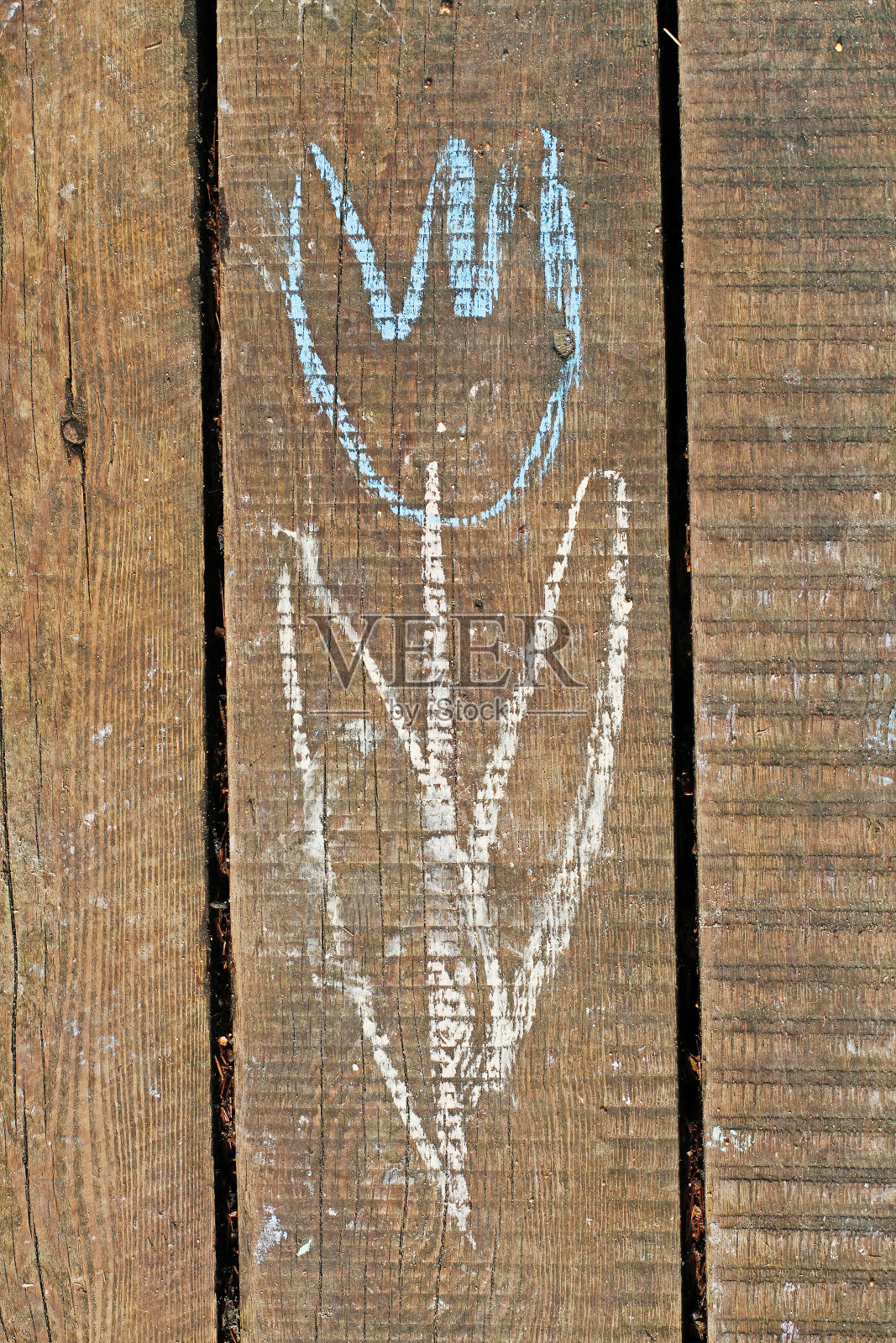 用白色和蓝色粉笔在旧木板上画的郁金香照片摄影图片