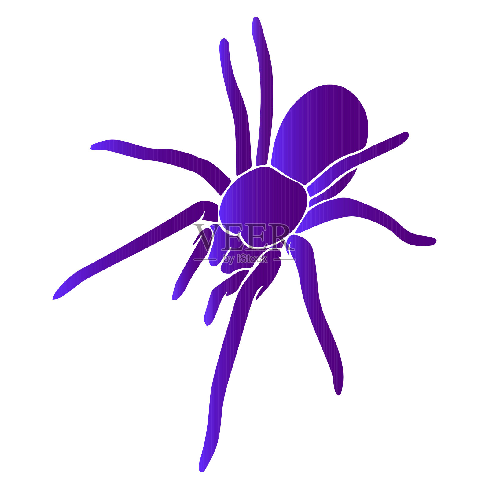 蜘蛛民间以装饰神秘昆虫为万圣节孤立向量手绘插画图片素材