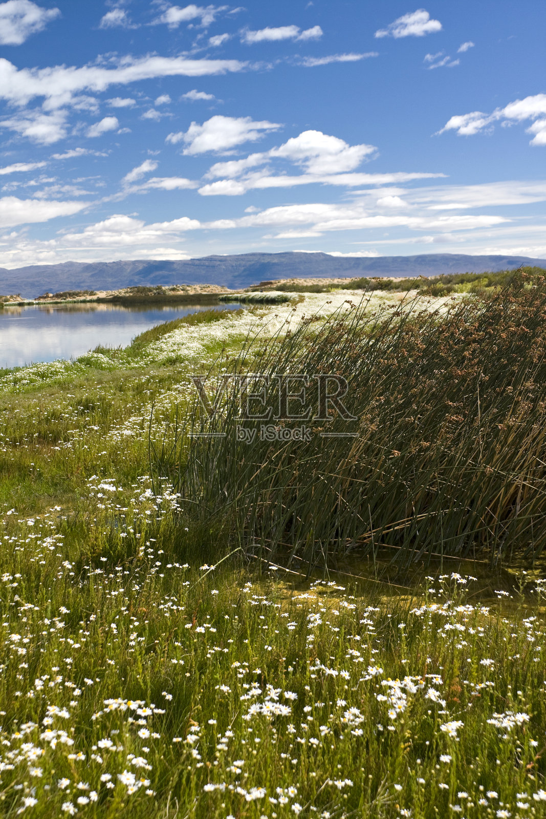 “拉古纳·尼梅兹”——埃尔·卡拉法特照片摄影图片