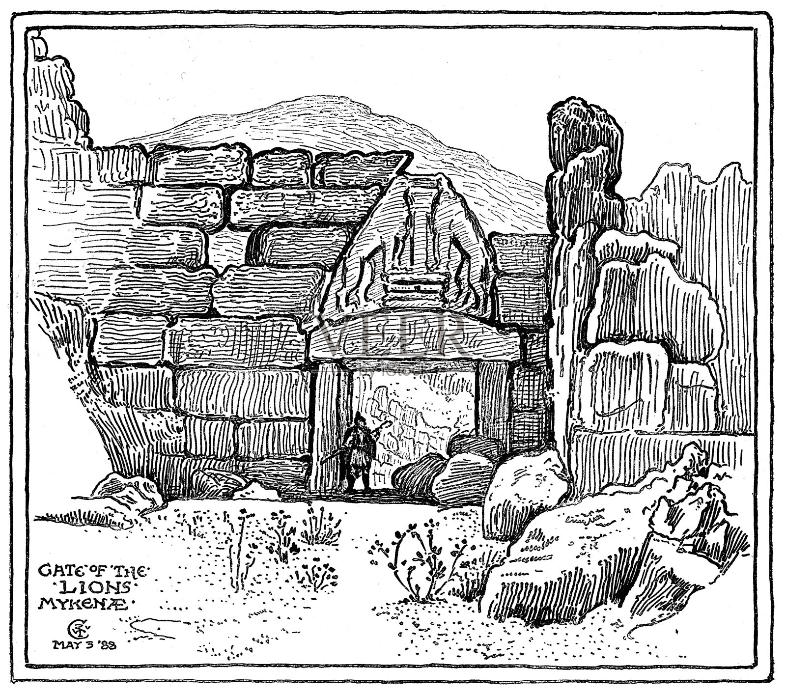 狮门插画图片素材