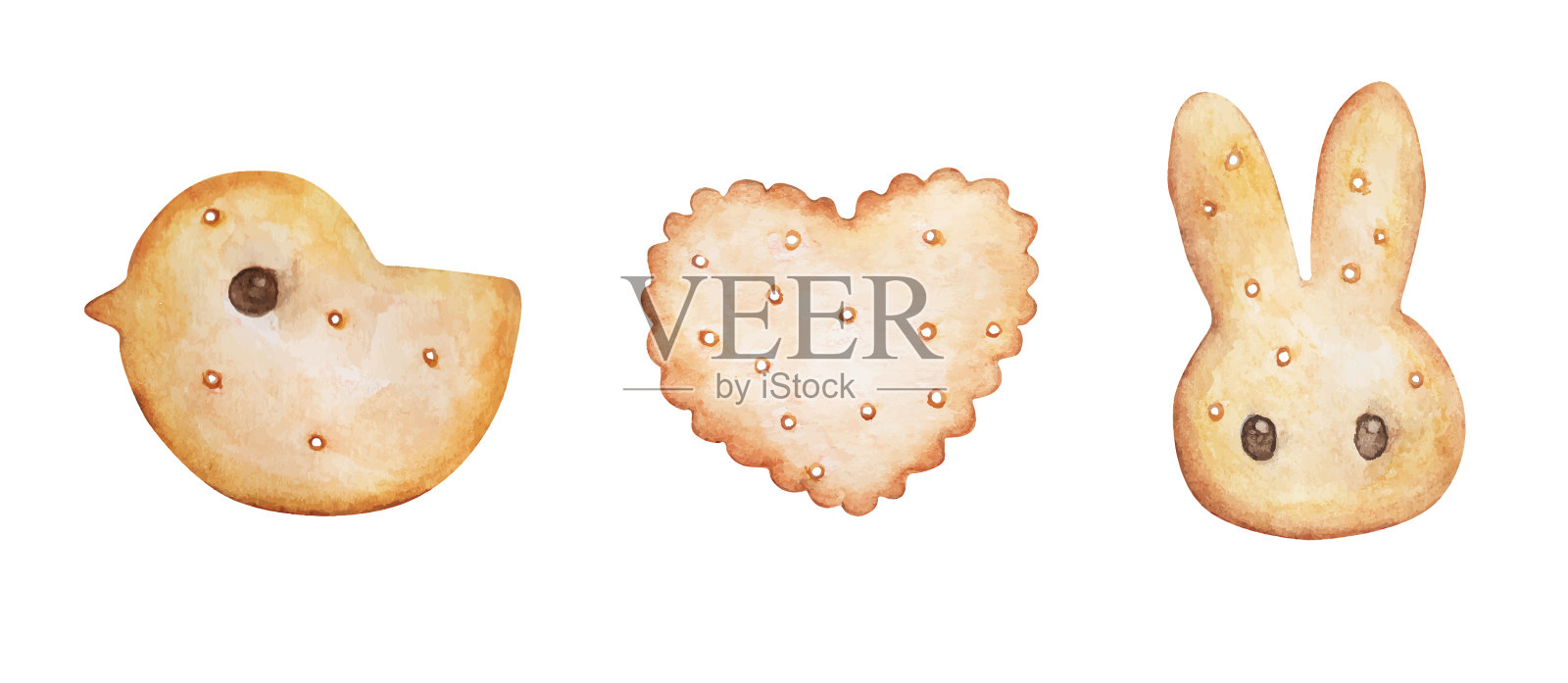 一组不同的cookie插画图片素材