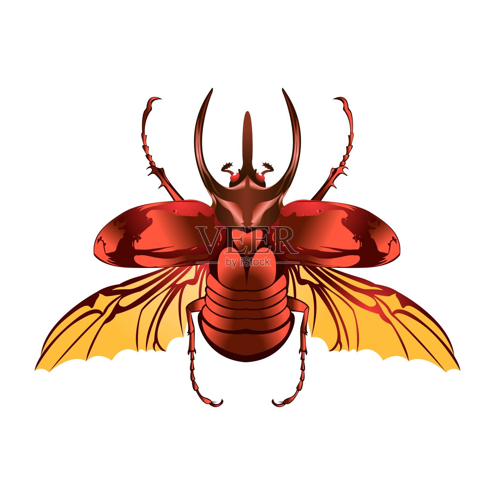 矢量卡通阿特拉斯甲虫字符孤立插图插画图片素材