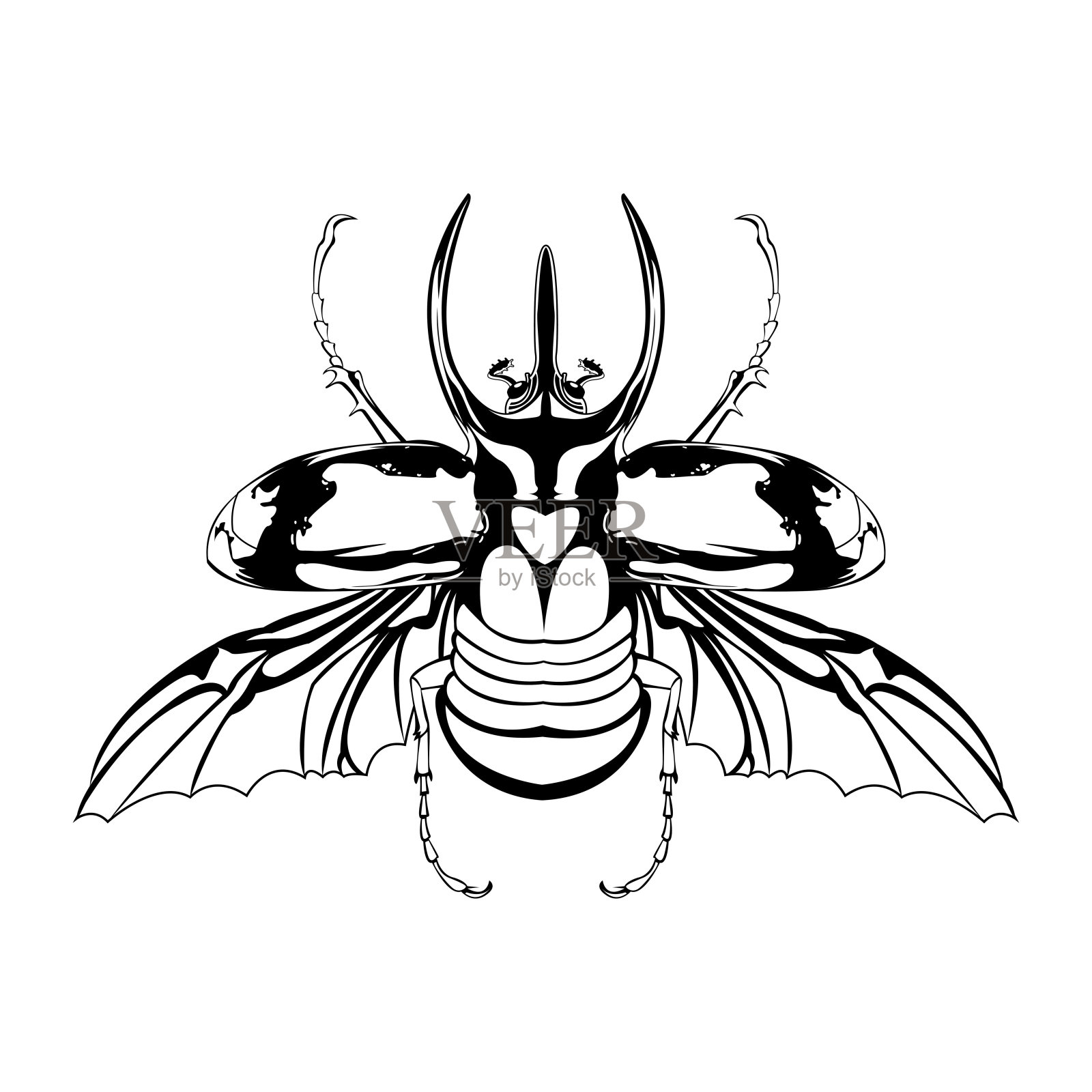 矢量卡通阿特拉斯甲虫字符孤立插图插画图片素材