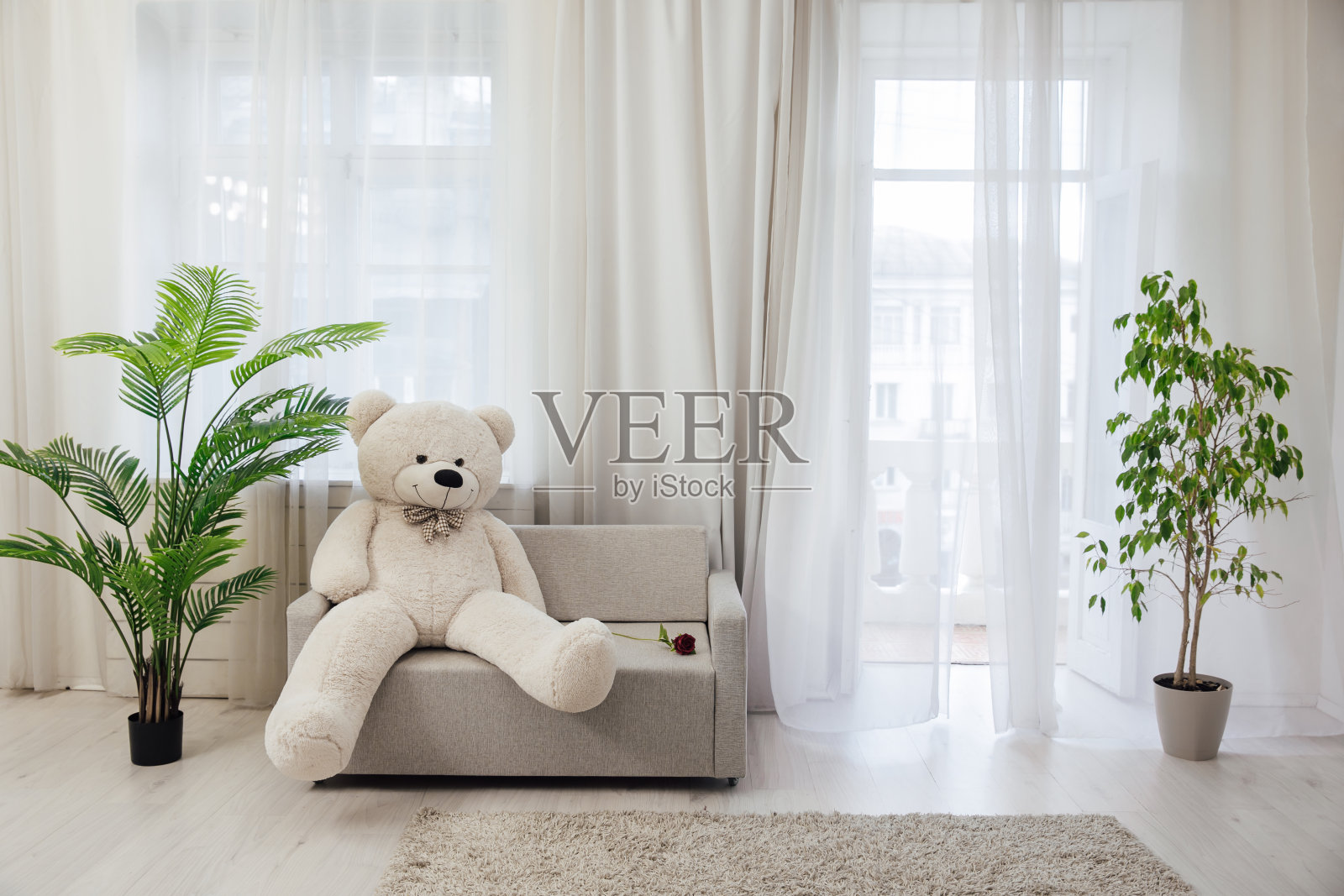 室内白色的沙发和一只泰迪熊照片摄影图片