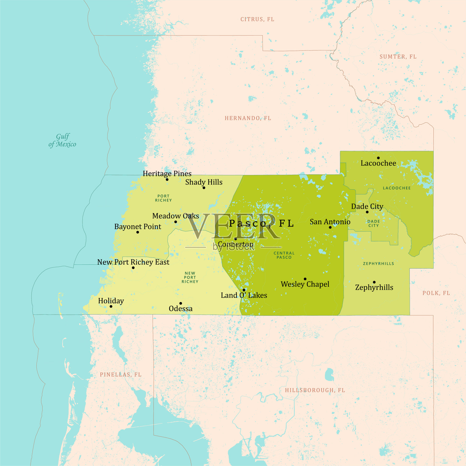 佛罗里达帕斯科县矢量地图绿色插画图片素材