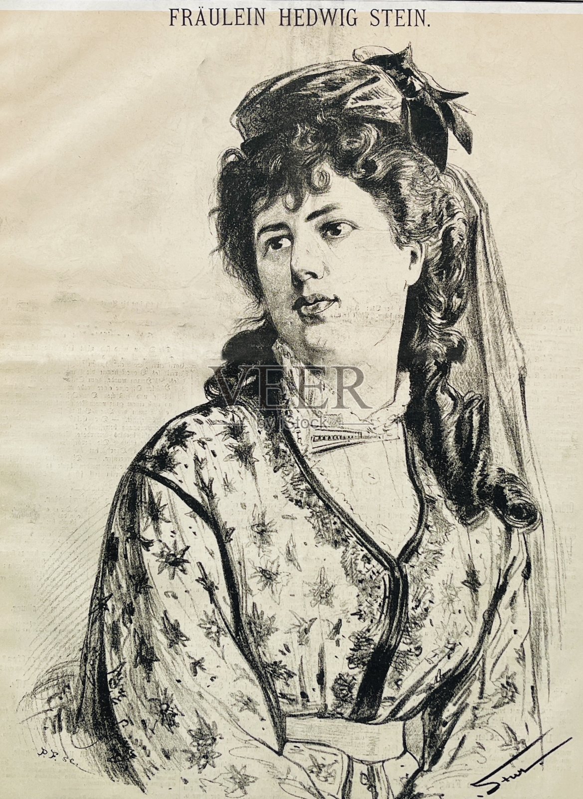 海德薇·斯坦，奥地利女演员插画图片素材