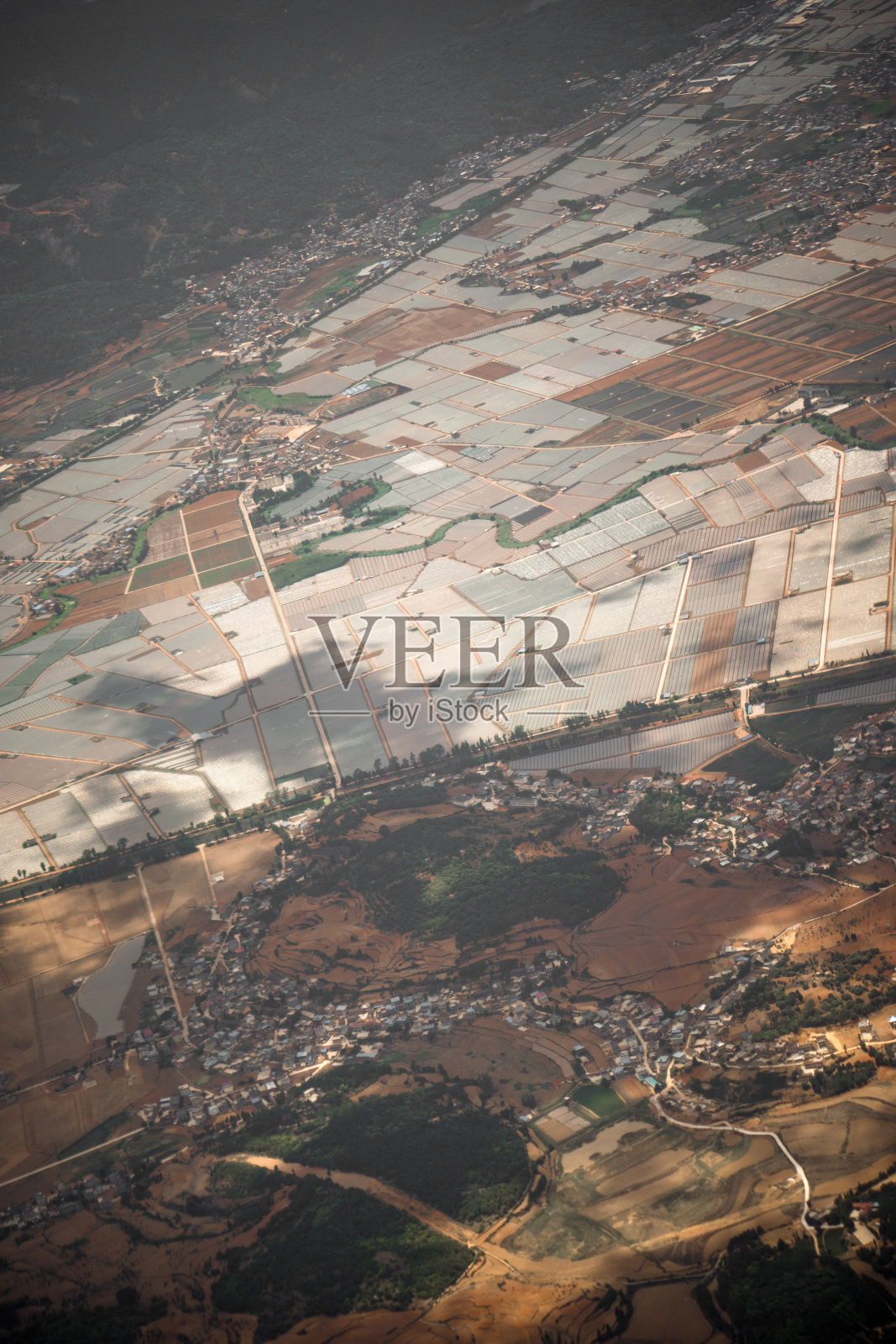 昆明温室照片摄影图片