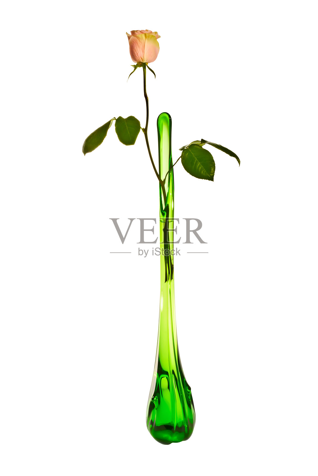 粉红色玫瑰插在高高的绿色花瓶里照片摄影图片