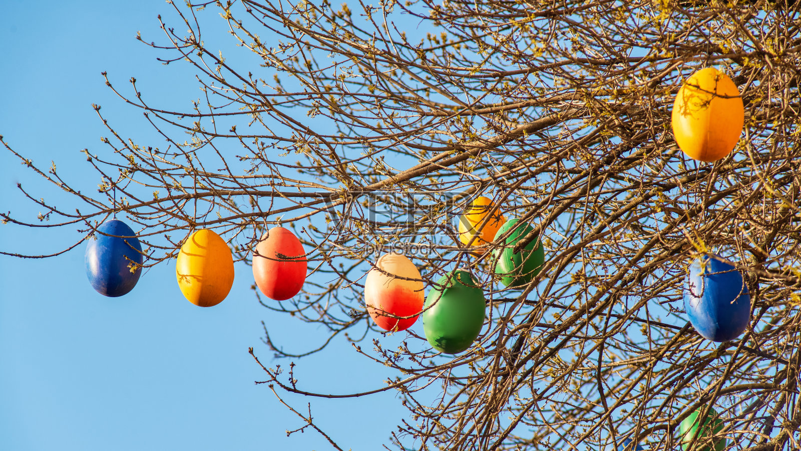 树上的复活节彩蛋照片摄影图片