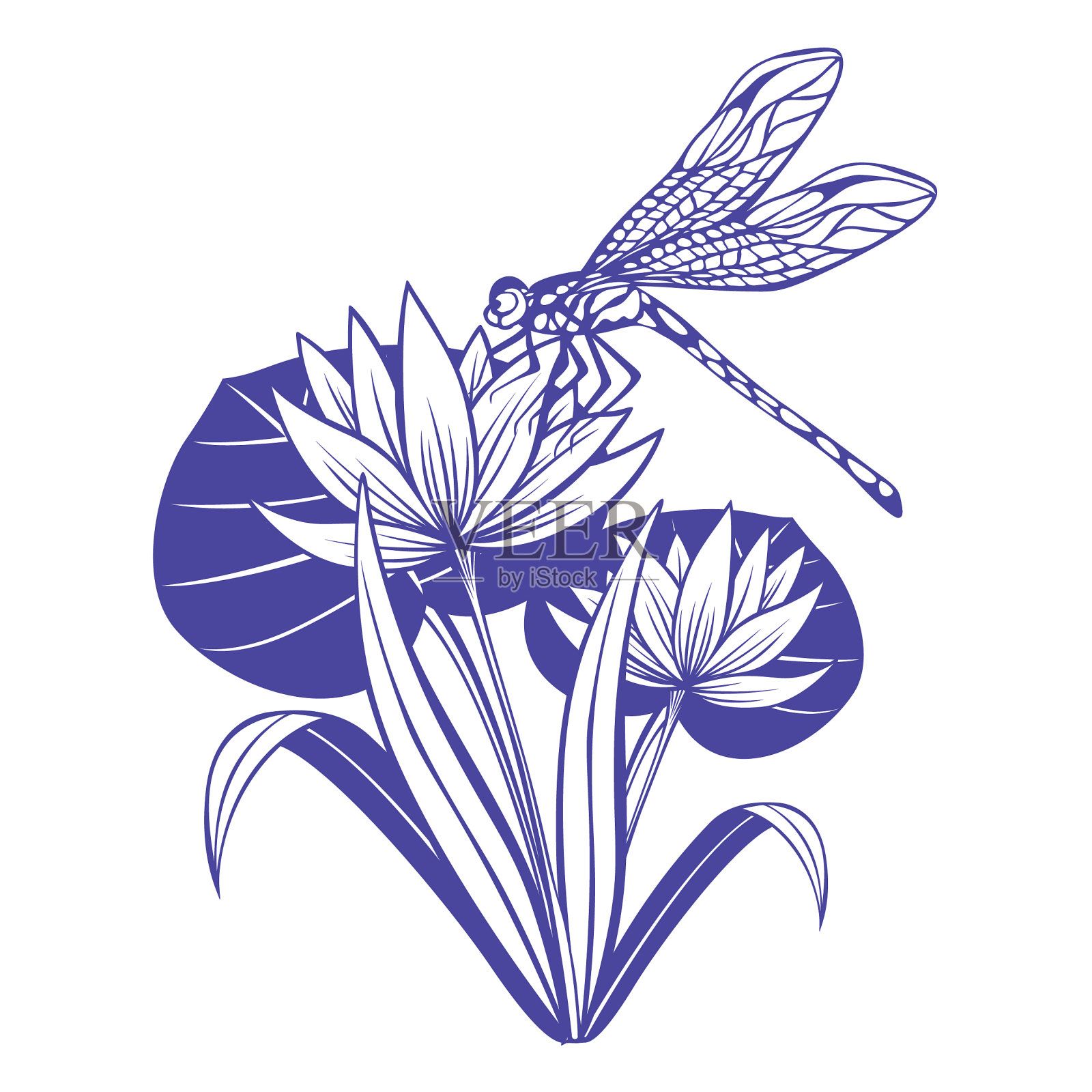 莲花插画图片素材