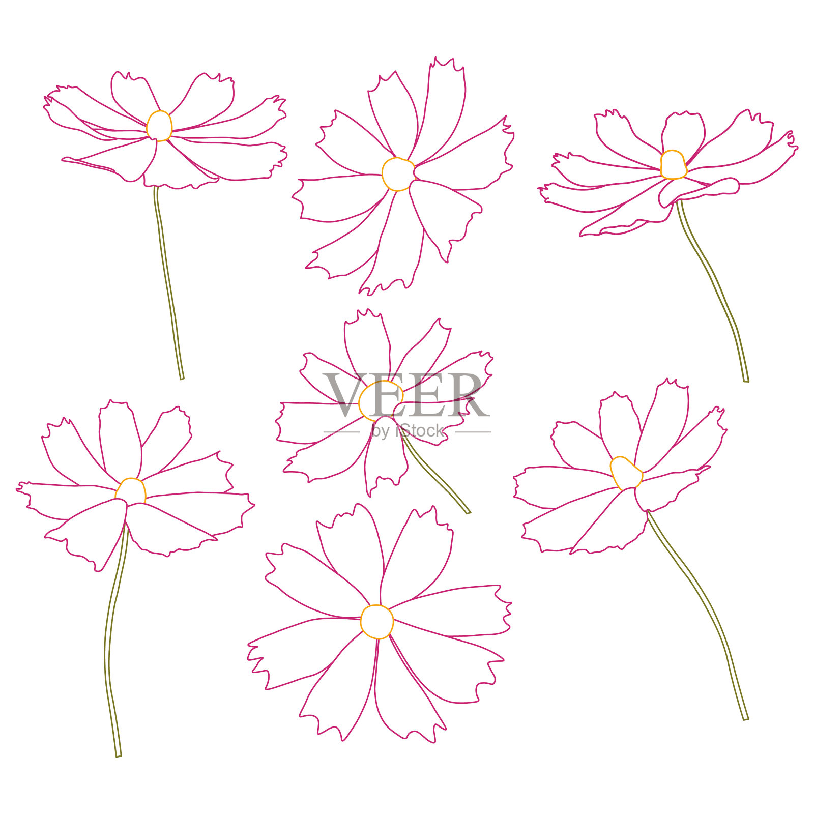 一套宇宙花分枝矢量简单插图孤立在白色背景。轮廓手绘彩色版。花向量为儿童插图，夏季设计。插画图片素材