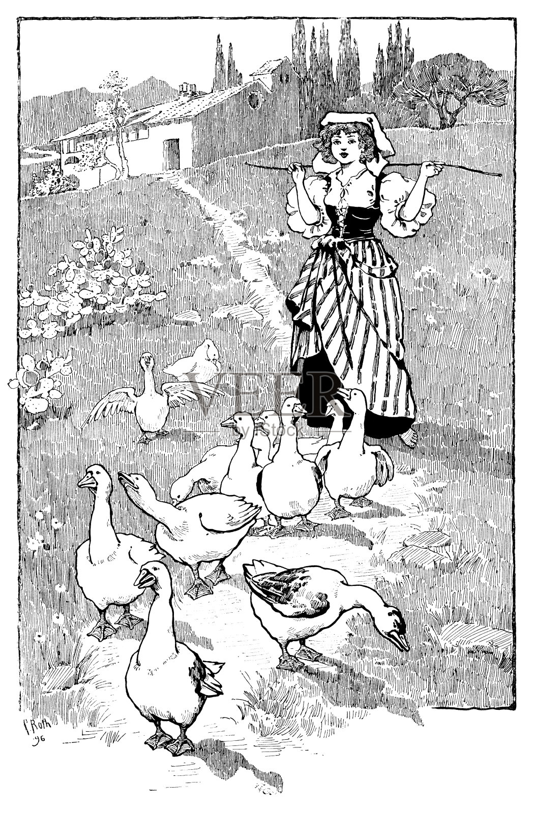 年轻的女孩看着一群鹅插画图片素材