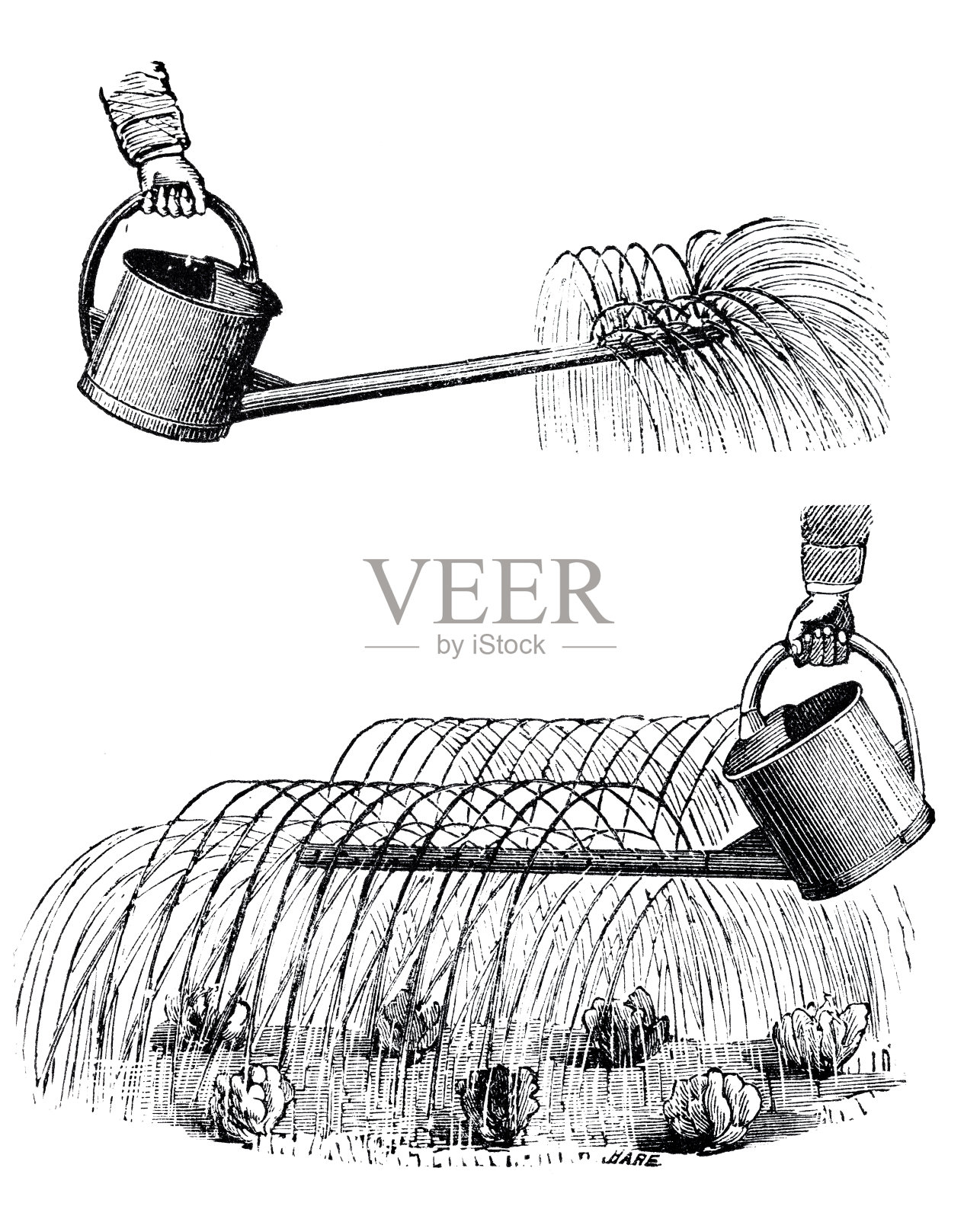 有多个喷水口的喷壶，白色背景插画图片素材
