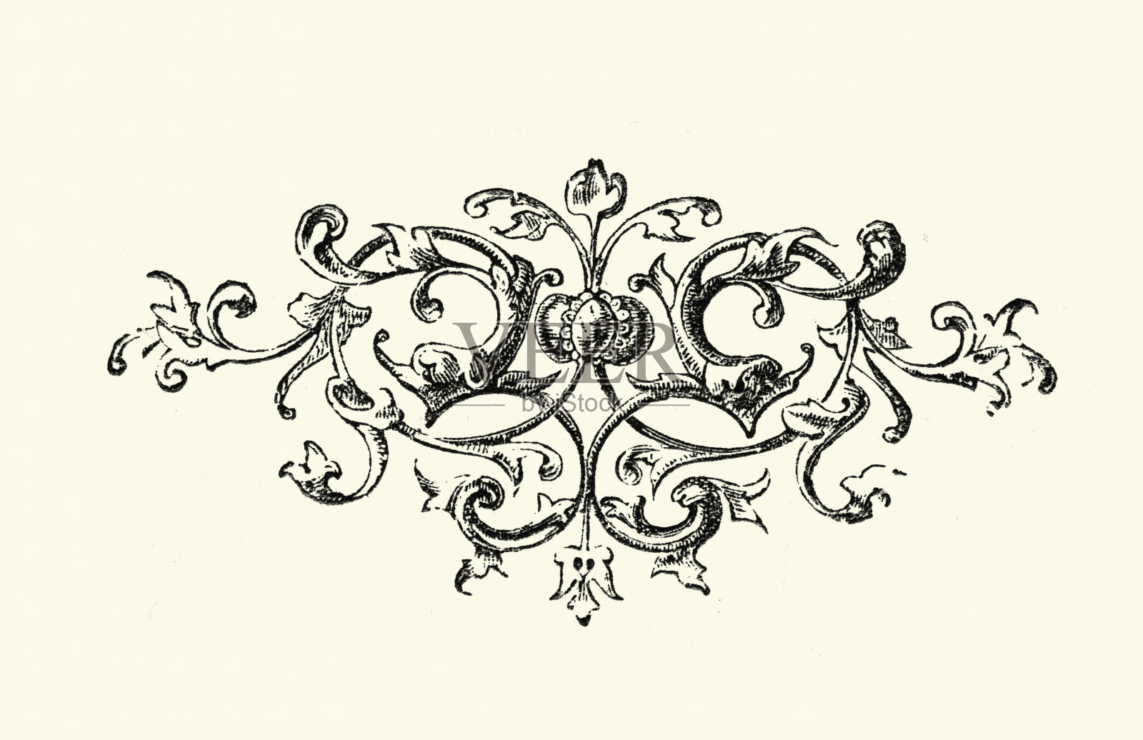 复古插图维多利亚设计元素卷轴花卉图案，19世纪插画图片素材